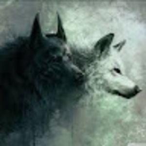 Meet your Posher, Ava